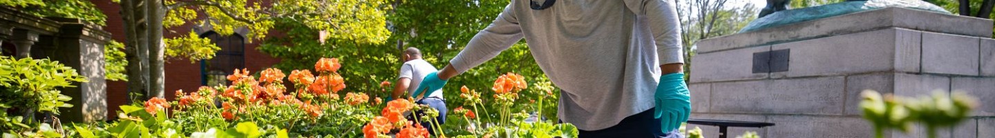 Maintaining a flower bed.
