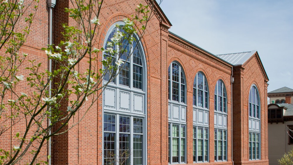 Nelson windows